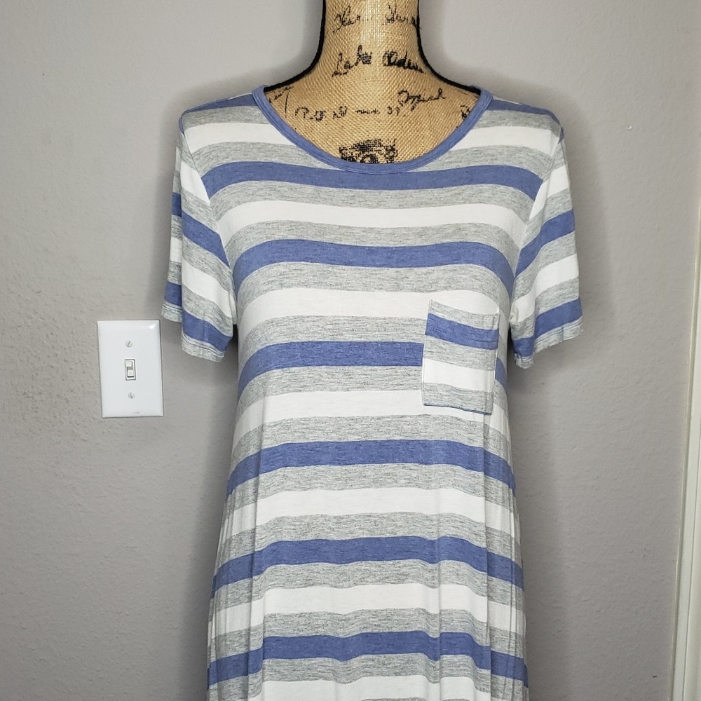 Gently used Carly Swing Dress